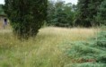 Šestnáct pozemků v bývalém vojenském areálu na Litoměřicku prodáno